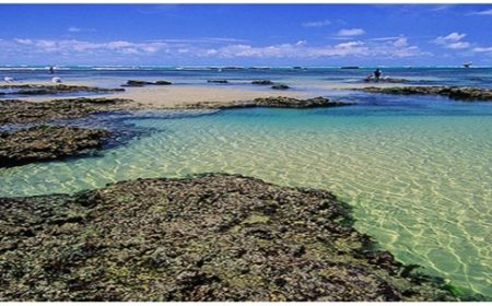 Mar de Flecheiras