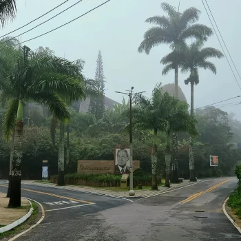 20250507_0852341-2048x1365