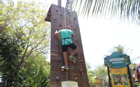 Engenhoca Parque Arvorismo