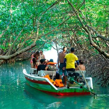 Passeio de barco