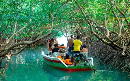 Passeio de barco