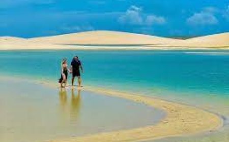 images (8)